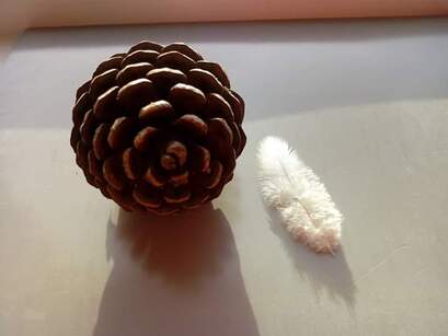 Blog Post Feather Pinecone Heartspace Meditation