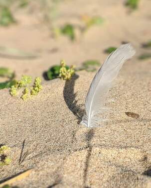 Blog Post Feather Sand Heatspce Meditation